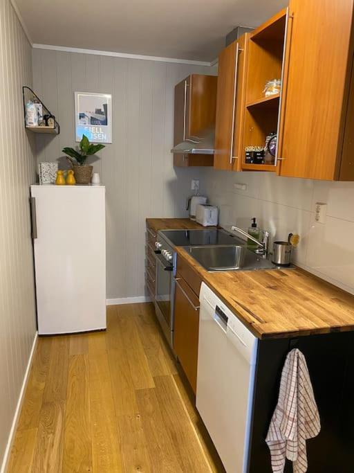 Aurora Apartment Very Close To Cable Car And Sherpatrappa Τρόμσο Εξωτερικό φωτογραφία